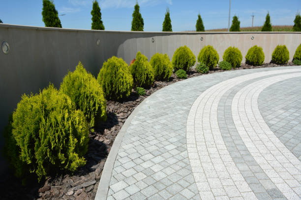 Best Driveway Repair Near Me  in Princeton, MO